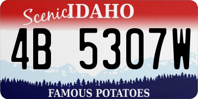 ID license plate 4B5307W