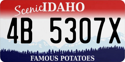 ID license plate 4B5307X