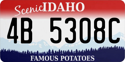 ID license plate 4B5308C