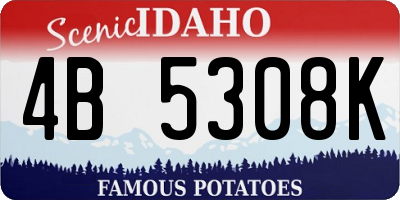 ID license plate 4B5308K