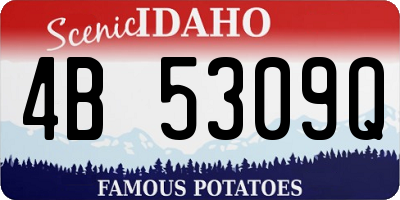 ID license plate 4B5309Q