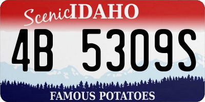 ID license plate 4B5309S