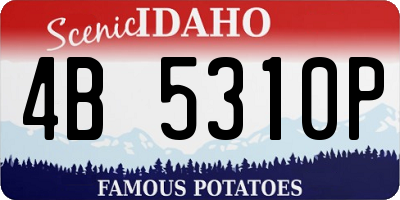 ID license plate 4B5310P