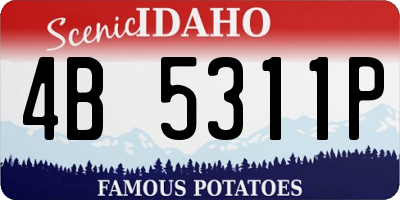 ID license plate 4B5311P