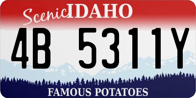 ID license plate 4B5311Y
