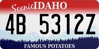 ID license plate 4B5312Z