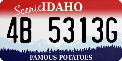 ID license plate 4B5313G