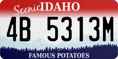 ID license plate 4B5313M