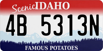 ID license plate 4B5313N