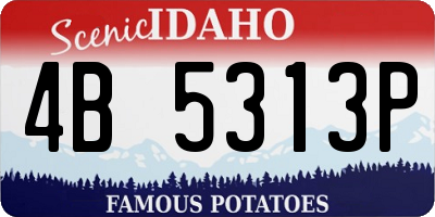 ID license plate 4B5313P