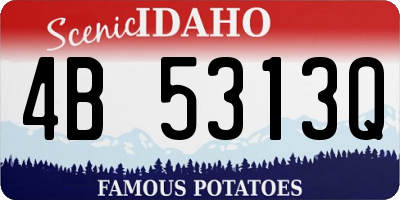 ID license plate 4B5313Q