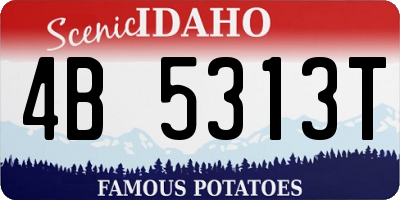 ID license plate 4B5313T