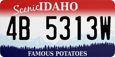 ID license plate 4B5313W