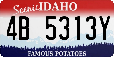 ID license plate 4B5313Y