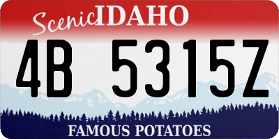 ID license plate 4B5315Z