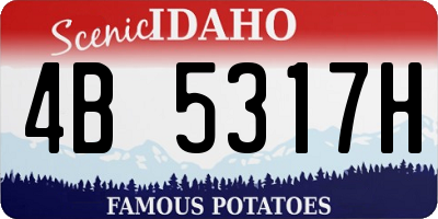 ID license plate 4B5317H