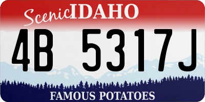 ID license plate 4B5317J