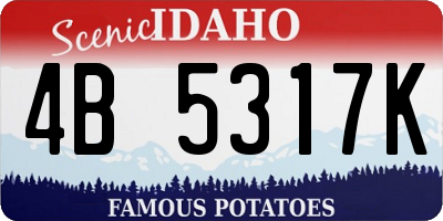 ID license plate 4B5317K