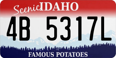ID license plate 4B5317L