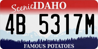 ID license plate 4B5317M