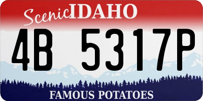 ID license plate 4B5317P