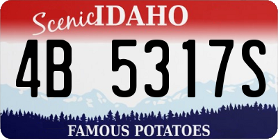 ID license plate 4B5317S