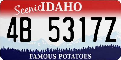 ID license plate 4B5317Z