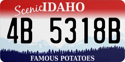 ID license plate 4B5318B