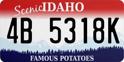 ID license plate 4B5318K