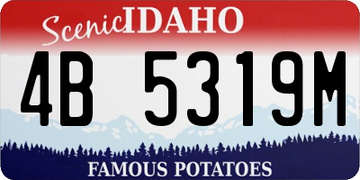ID license plate 4B5319M