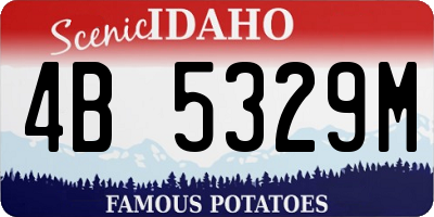 ID license plate 4B5329M