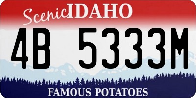 ID license plate 4B5333M