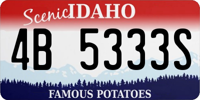 ID license plate 4B5333S