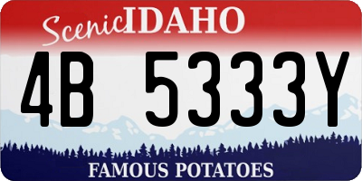 ID license plate 4B5333Y