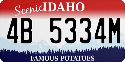 ID license plate 4B5334M