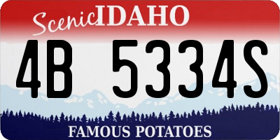 ID license plate 4B5334S
