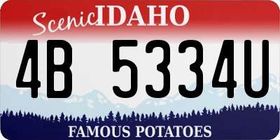 ID license plate 4B5334U
