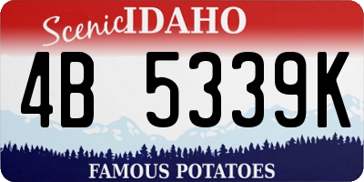 ID license plate 4B5339K