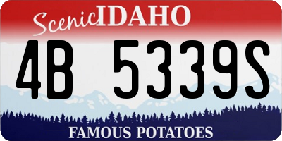 ID license plate 4B5339S