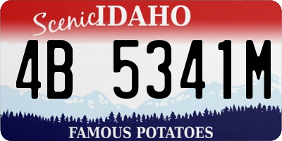 ID license plate 4B5341M
