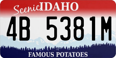 ID license plate 4B5381M