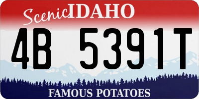ID license plate 4B5391T