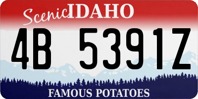 ID license plate 4B5391Z