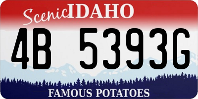 ID license plate 4B5393G