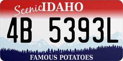 ID license plate 4B5393L
