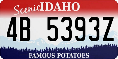 ID license plate 4B5393Z
