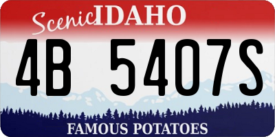 ID license plate 4B5407S