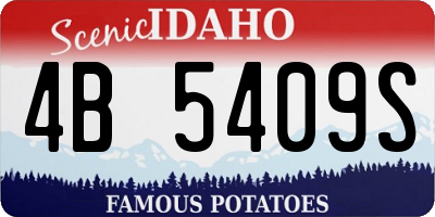 ID license plate 4B5409S
