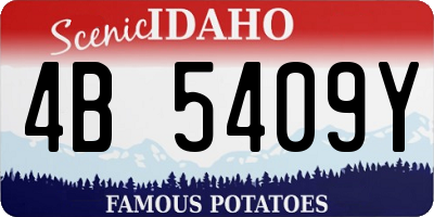 ID license plate 4B5409Y