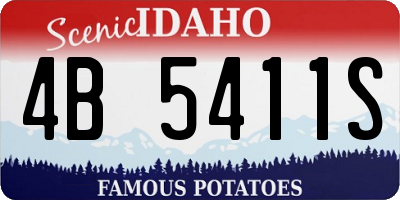 ID license plate 4B5411S